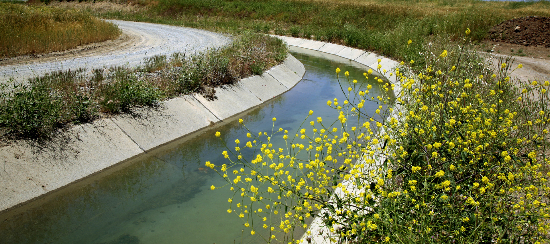 Strongest distribution network